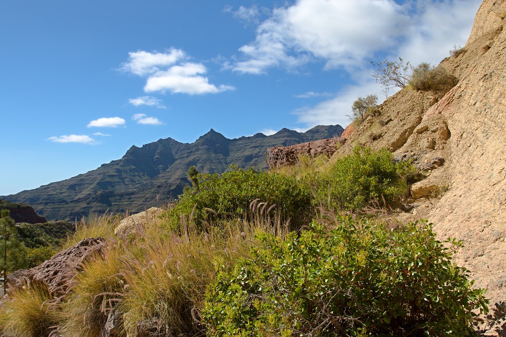 gran canaria spanje Degollada de las Yeguas eiland canarische Eilanden las palmas maspalomas puerto de mogan strand Fuente de Los Azulejos Aguimes la Aldea las nieves tenerife teror